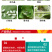 25%噻虫嗪稻飞虱木虱梨木虱介壳虫蚜虫潜叶蛾
