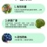 沪联品冠25%氟硅唑-咪鲜胺白腐病黑痘病疮痂病流胶病