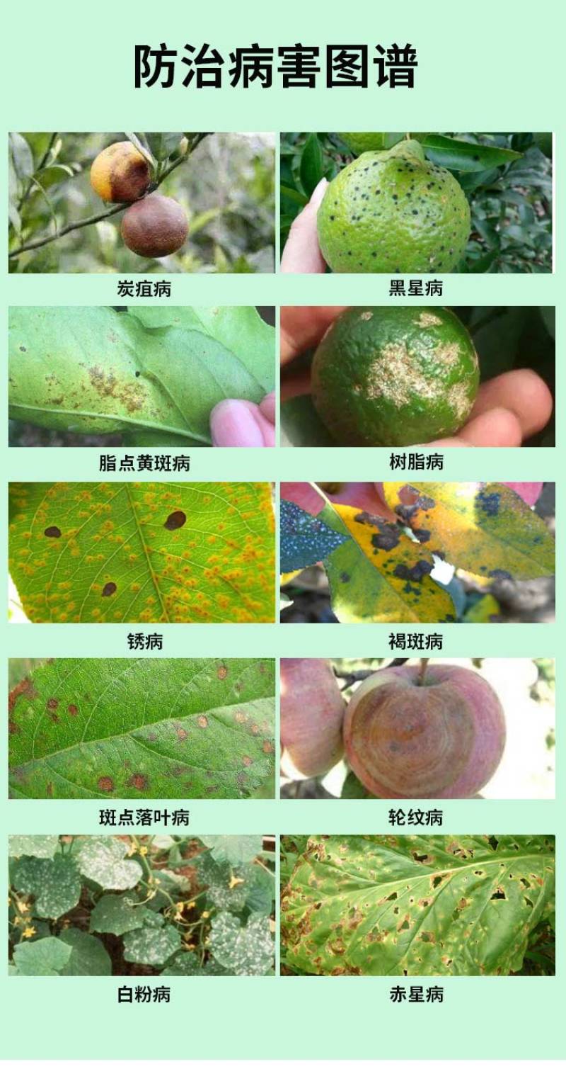 沪联品冠25%氟硅唑-咪鲜胺白腐病黑痘病疮痂病流胶病