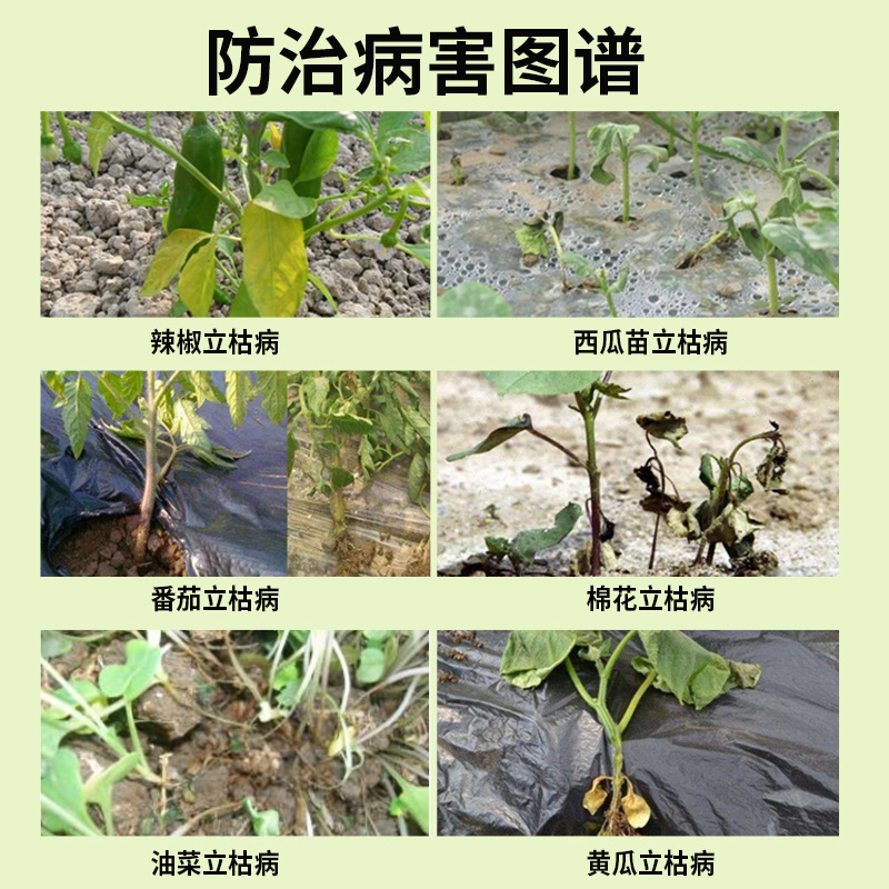 上苗清30%甲霜·噁霉灵苗期立枯病白绢病枯萎青枯病杀菌剂