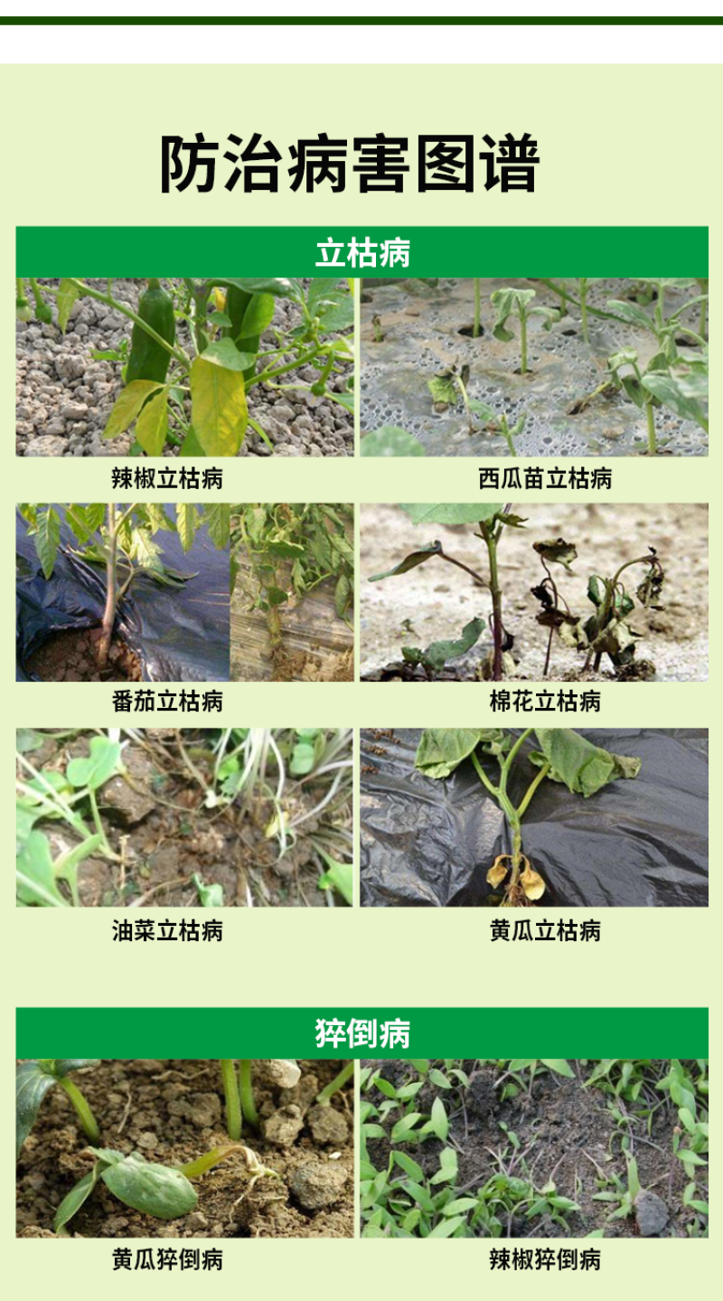上苗清30%甲霜·噁霉灵苗期立枯病白绢病枯萎青枯病杀菌剂