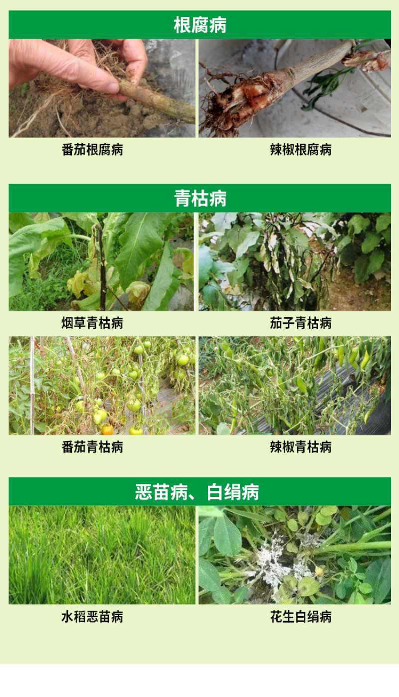 上苗清30%甲霜·噁霉灵苗期立枯病白绢病枯萎青枯病杀菌剂