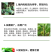 上苗清30%甲霜·噁霉灵苗期立枯病白绢病枯萎青枯病杀菌剂