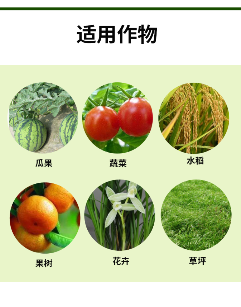 上苗清30%甲霜·噁霉灵苗期立枯病白绢病枯萎青枯病杀菌剂