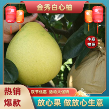 【热卖】金秀白心柚细肉嫩得出水清甜脆口口感远胜三红蜜柚