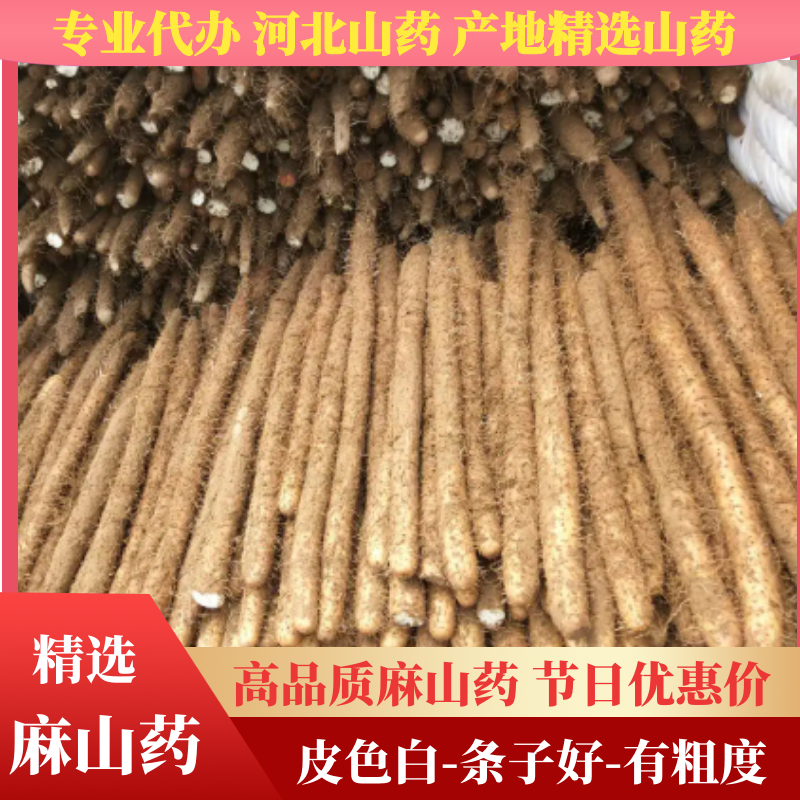 〖河北山药〗产地精选山药皮色白-条子好-有粗度现挖现发