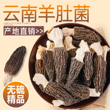 全国包邮云南精品食用菌野生菌野生羊肚菌。。