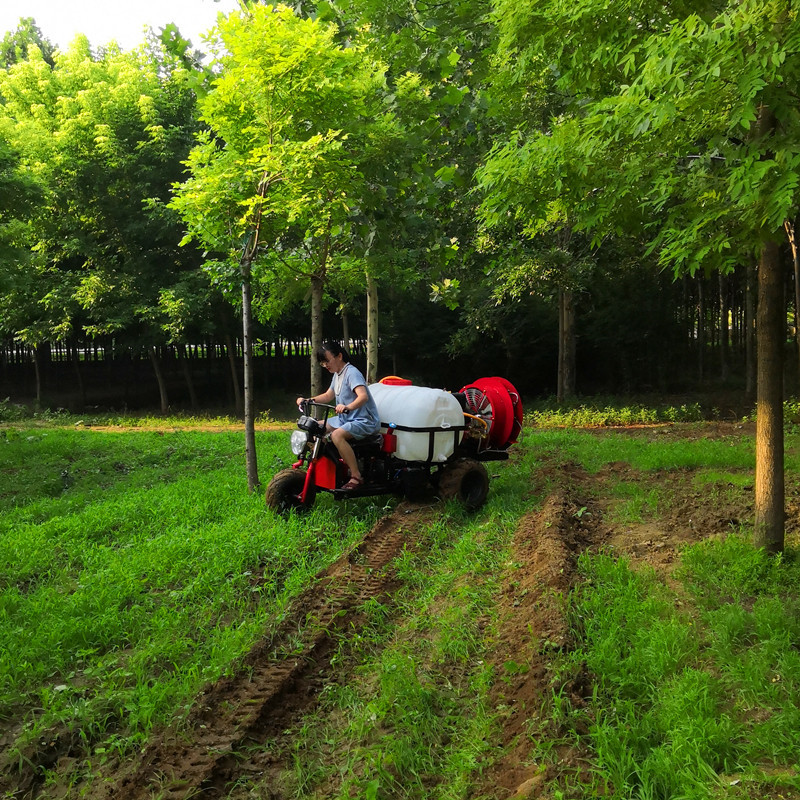 高品质乘坐式圆型风送打药机全自动果园风送打药机果树打