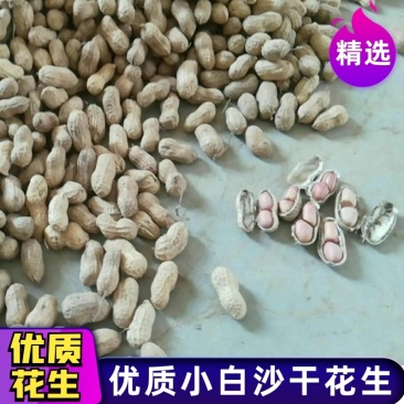 干花生，优质干花生，小白沙花生，精选果、手选果、炒货果