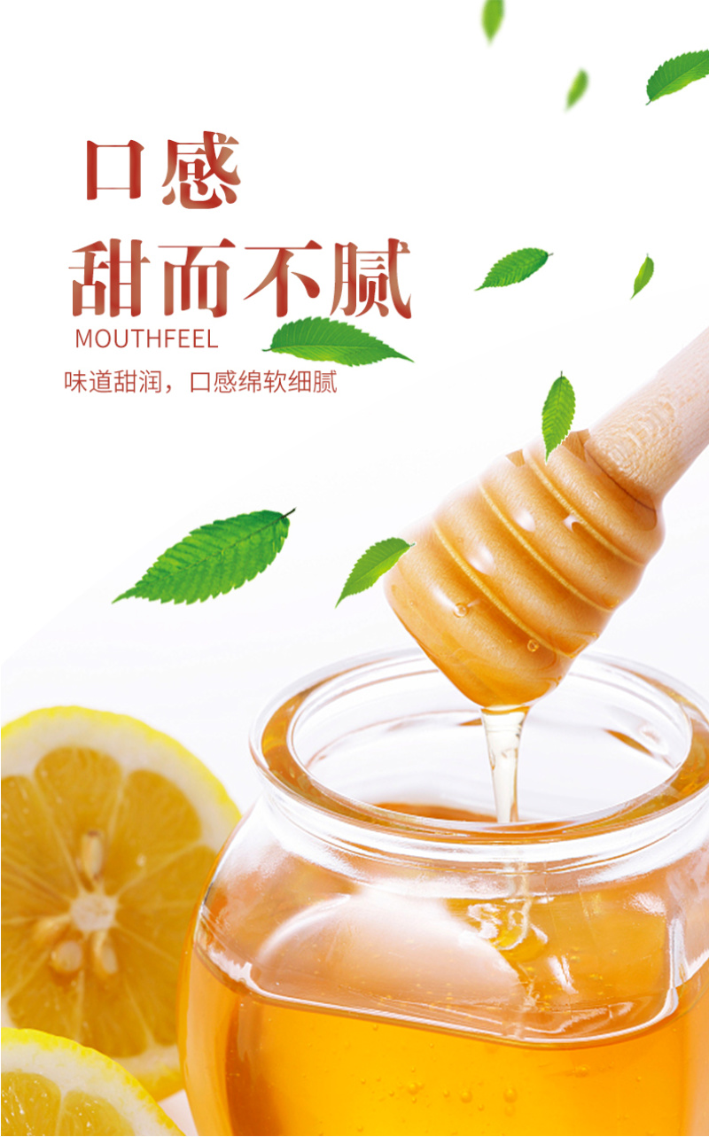 【佛冈扶贫产品】春中宝野山花蜜纯正天然蜂蜜500g瓶