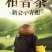 新会小青柑普洱茶250克