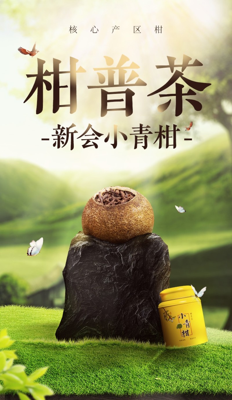 新会小青柑普洱茶250克