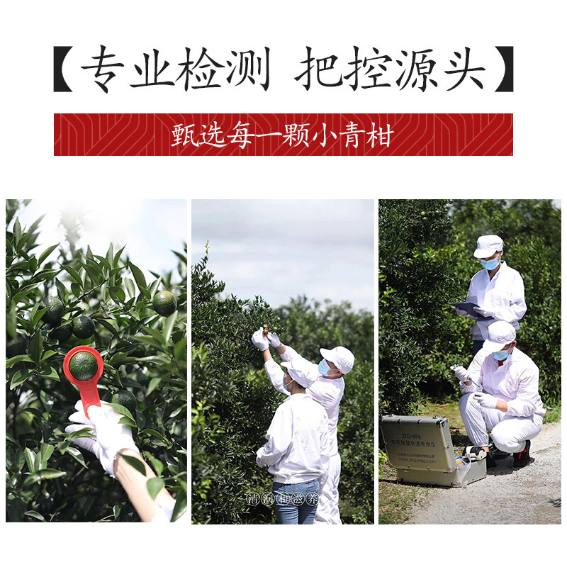 正宗新会生晒小青柑普洱熟茶叶柑普茶陈皮茶橘子茶28粒