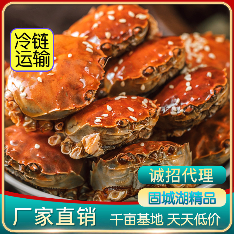 江苏固城湖大闸蟹六月黄大闸蟹酒店大排档批