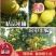 【精品蜜柚】精品红心蜜柚白心蜜柚一手货源果面干净
