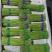 【新鲜上市】四川绿芦笋青芦笋产地直发货源充足