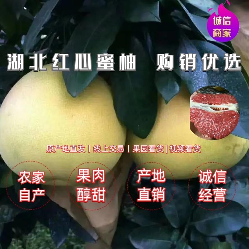 【柚子】精品蜜柚红心柚子严格筛选好果产地直发量大价优