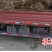 油蟠7-7号黄金油蟠9号桃苗新品种黄油蟠桃树苗