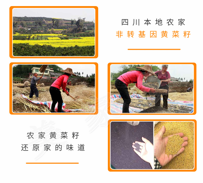 美家餐丨黄菜籽油1.8L电商一件代发