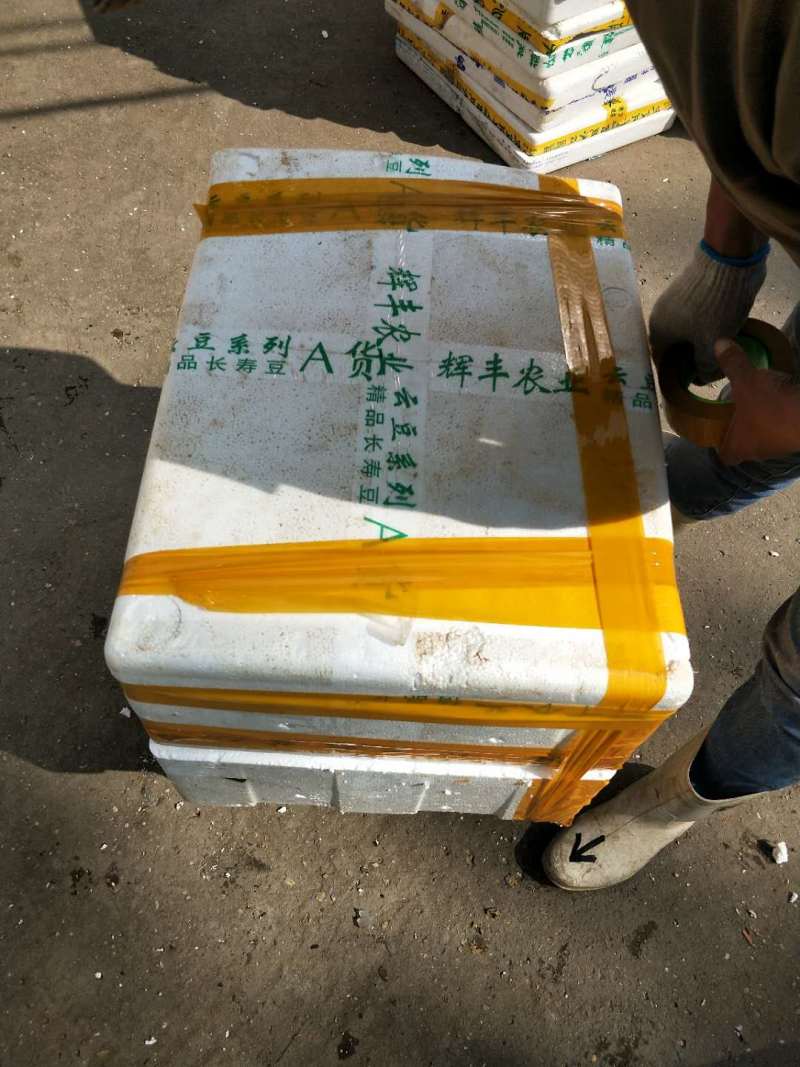 精养塘虾湖虾产地直发全国物流隔天到广州配送到店