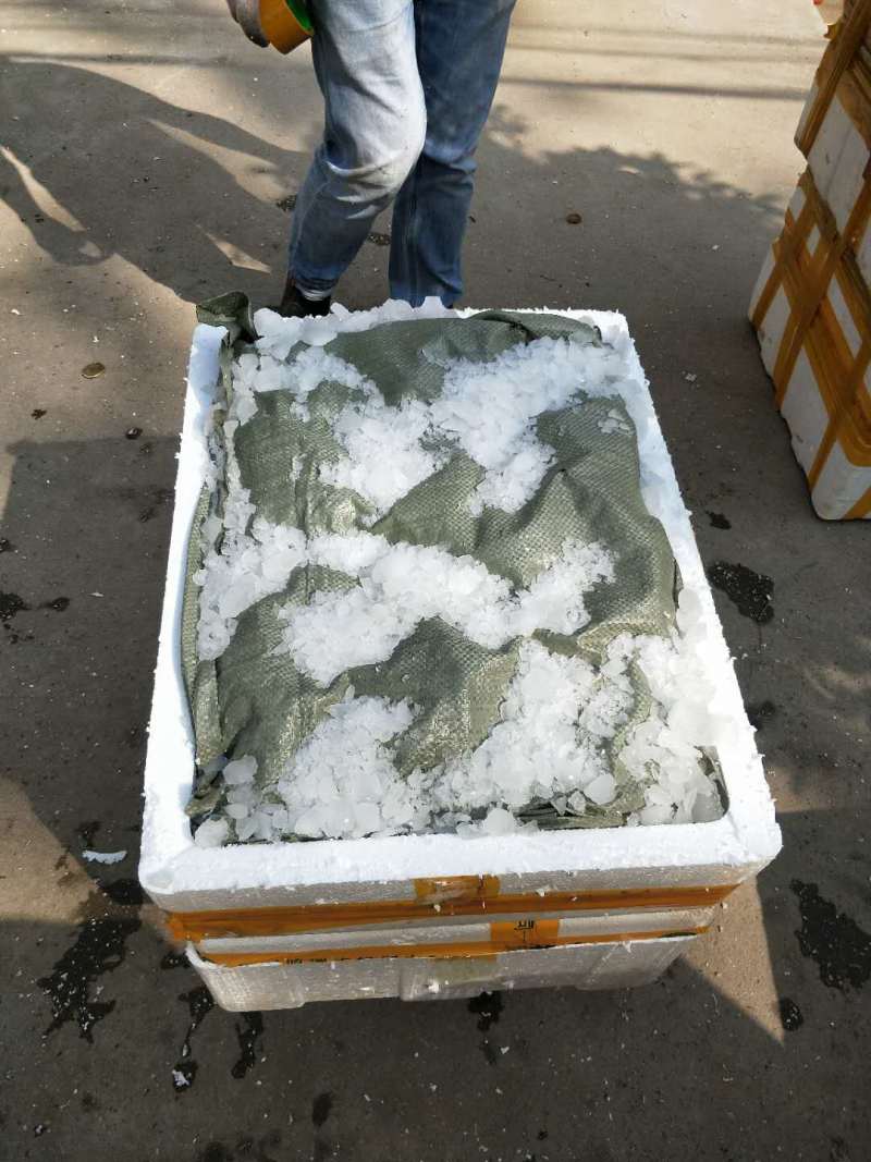 精养塘虾湖虾产地直发全国物流隔天到广州配送到店
