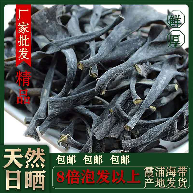 霞浦旧客船海带天然日晒海带头海带根量大更优惠
