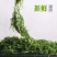 天然新鲜海藻盐渍龙须菜凉拌火锅菜鹿角菜头发菜海发菜海藻