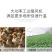 孵化育苗恒温工业暖风机高温烘干热风机畜牧养殖设备燃油暖风