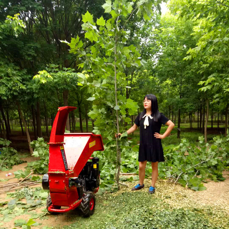 枯木茶树秸秆枝干粉碎机柴油电启动碎枝机边角料粉碎机