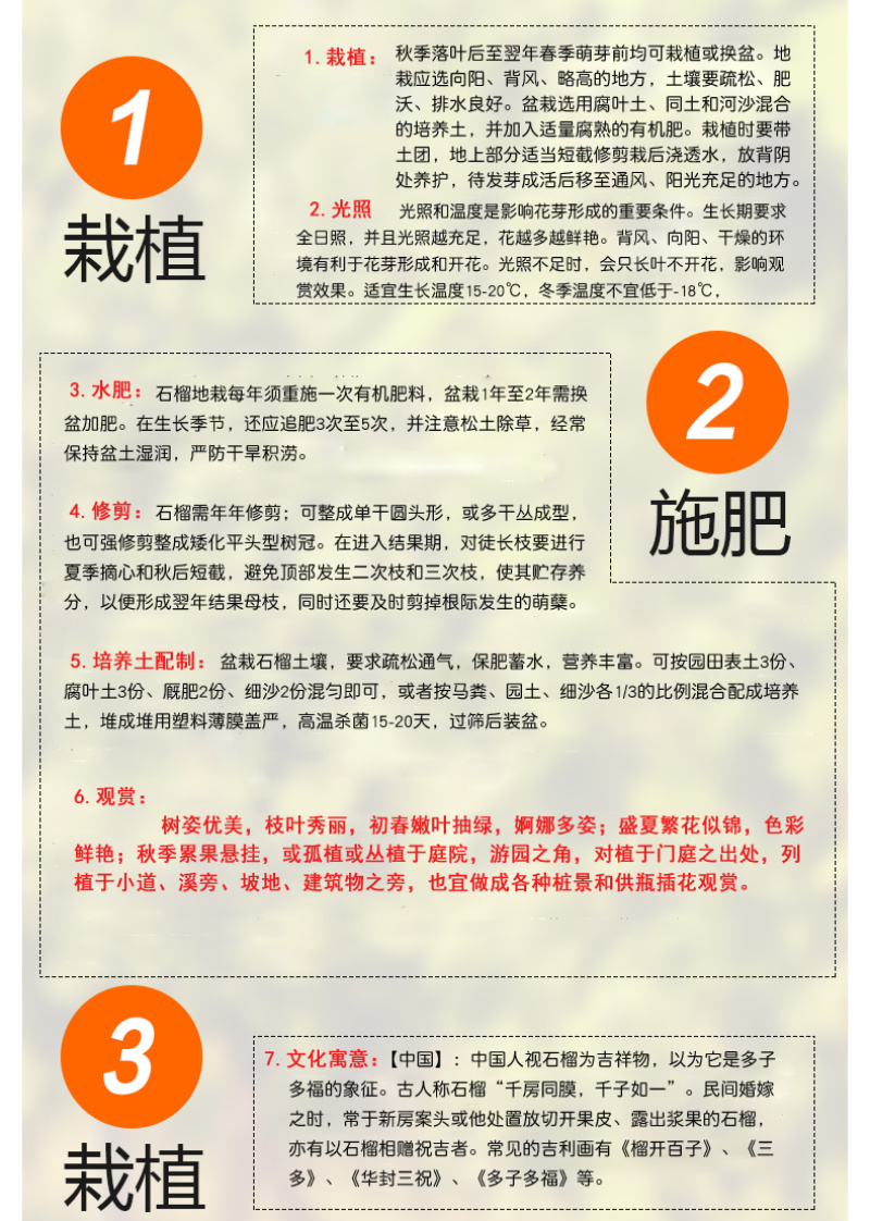 突尼斯软籽石榴苗拒绝假苗现挖现发保湿发货
