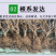 蓝宝石葡萄苗盆栽地栽爬藤当年结果保湿发货