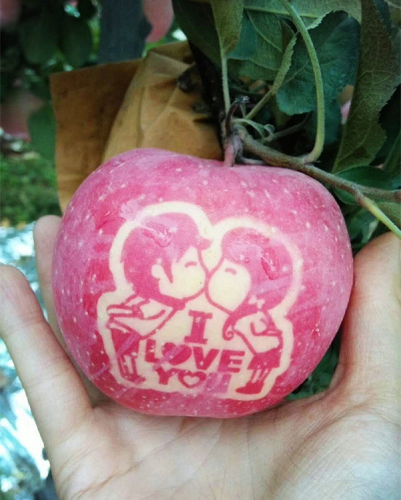 【爆款】精品红富士苹果口感脆甜皮薄肉厚精品包装