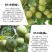 正宗8518纸皮核桃苗嫁接核桃树苗品种纯正