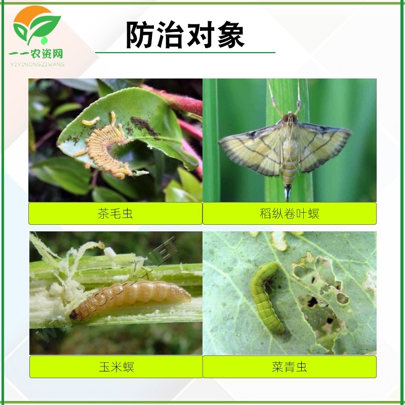 禾益菜爱果16000IU苏云金杆菌菜青茶毛虫松毛虫玉米螟