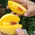 🍑黄金蜜4号桃苗黄金蜜晚熟脆甜大黄桃树苗嫁接