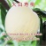 中华寿桃树苗特大嫁接早晚熟桃树苗南北方种植盆地栽当年结果