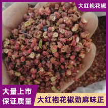 【有】大红袍花椒花椒麻味正宗欢迎咨询选