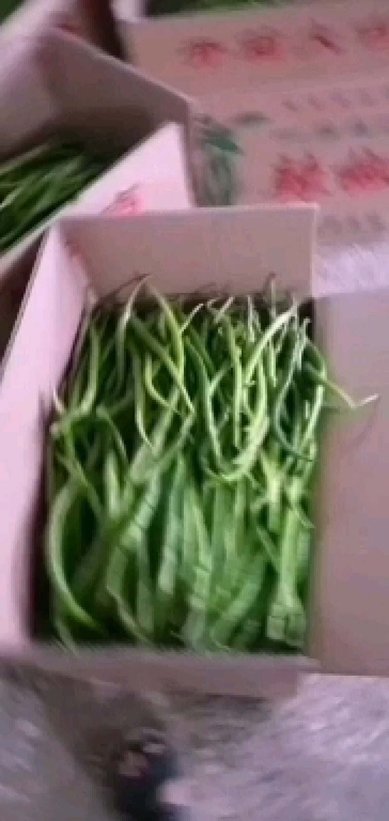 辣椒大量有货，欢迎各位老板前来发财。质量保证，信誉第一。