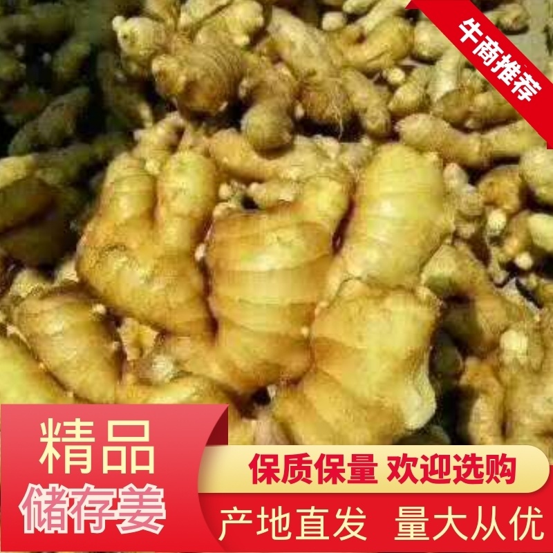 优质生姜-生姜-小黄姜，鲜姜保质保量基地发货一条龙服务