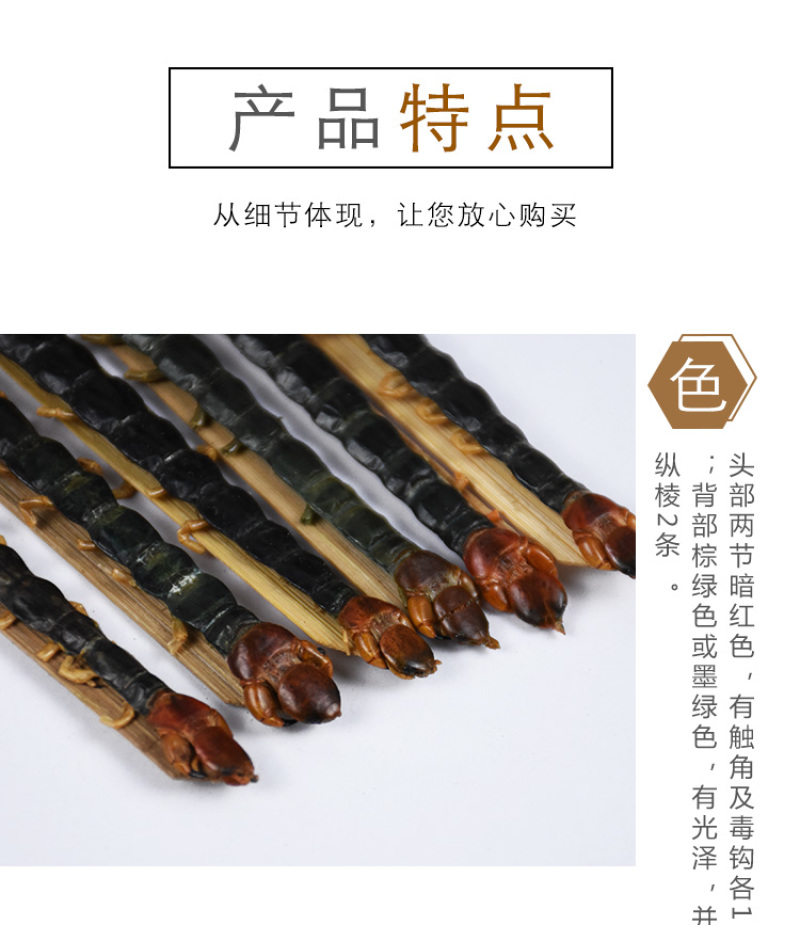 蜈蚣长蜈蚣大个蜈蚣干整条保证质量