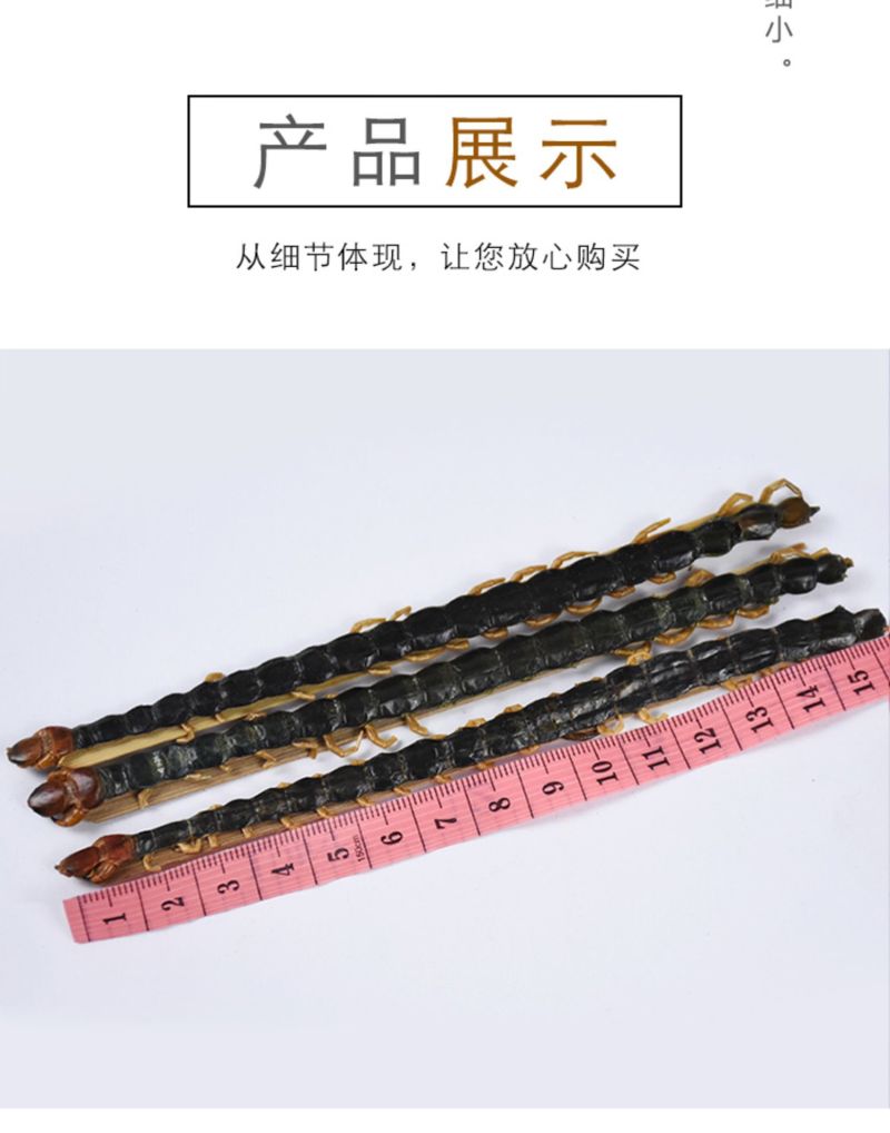 蜈蚣长蜈蚣大个蜈蚣干整条保证质量