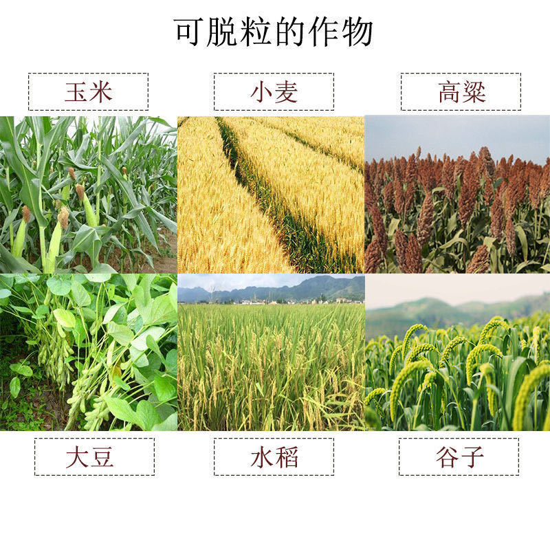 多功能脱粒机小麦大豆玉米脱粒机高效水稻谷穗高粱绿豆打粒机