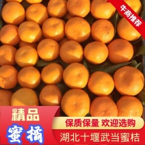 湖北十堰丹江口精品蜜橘大量上市。按规格釆摘，保证质量，