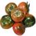 草莓西红柿苗铁皮柿子苗好口感品种带绿肩西红柿苗