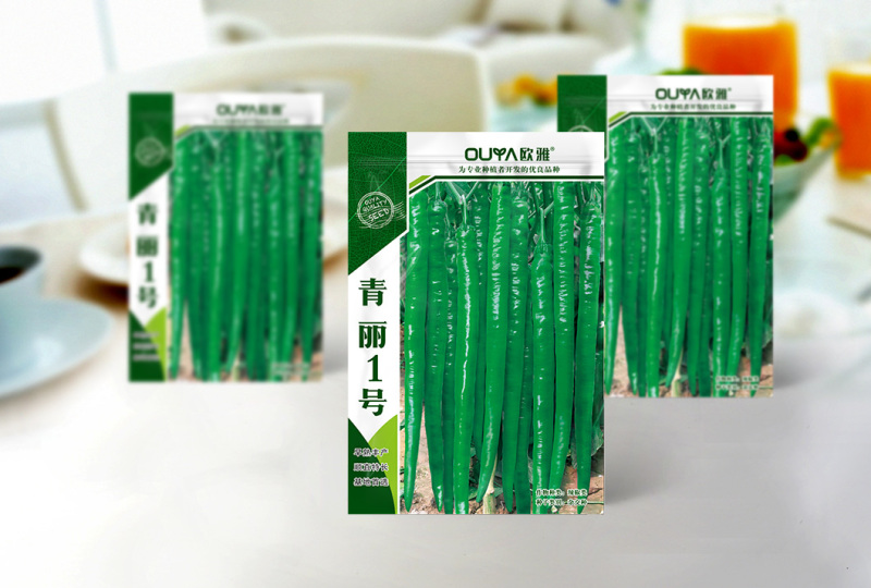 青丽1号微辣早熟线椒种子稳产丰产耐低温弱光性好