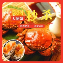 大闸蟹，清水大闸蟹，大螃蟹礼盒装，限时特惠，一件代发