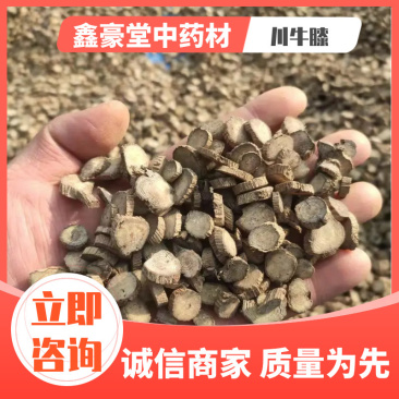 【优质】请对比质量川牛膝，产地直销量大从优，各种规格大货
