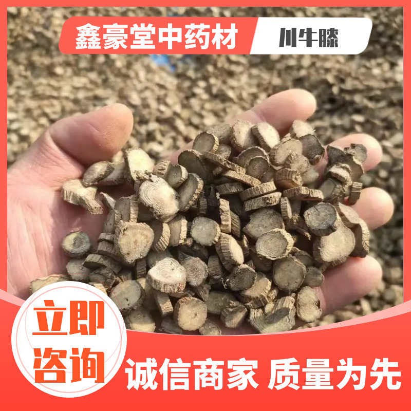 【优质】请对比质量川牛膝，产地直销量大从优，各种规格大货