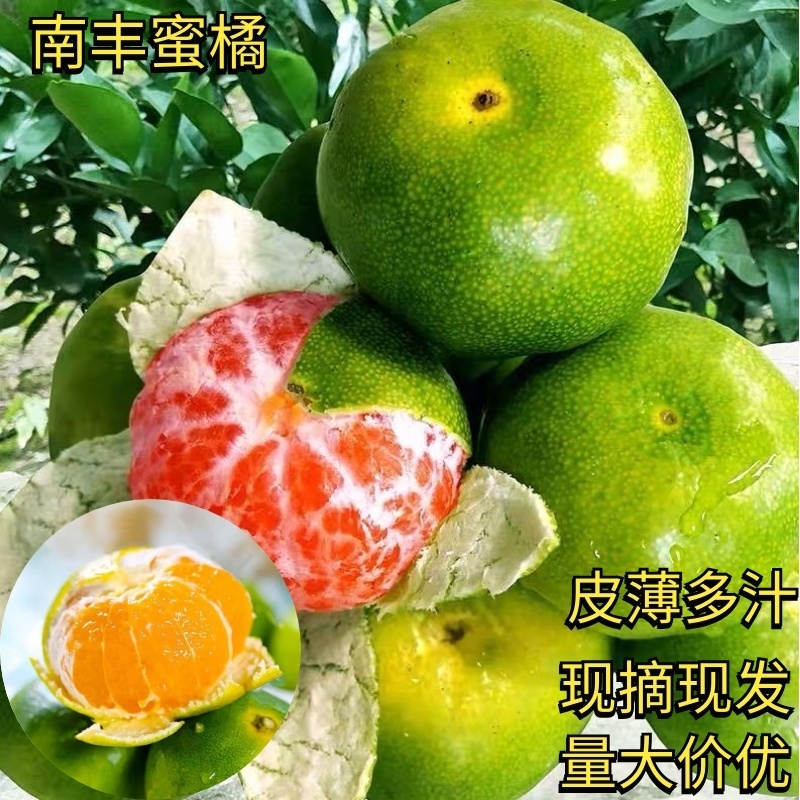 【热卖】南丰蜜橘/皮薄汁多/产地现摘现发/全国发货