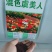 冰岛虞美人种子宿根多年生混色花种子亩用量3-4斤